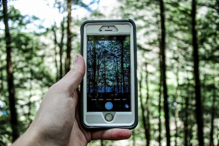 Beginner Tips for Taking Better Phone Photos Every Time